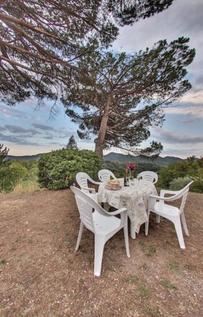 Tenuta Da Mose Con Vista Sui Colli Asolani Monfumo Dış mekan fotoğraf